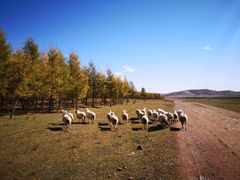 -塞罕坝国家级自然保护区