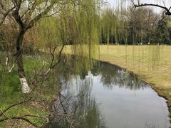 -柳浪闻莺公园