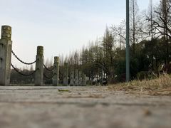 景点-湖南烈士公园(芙蓉区)