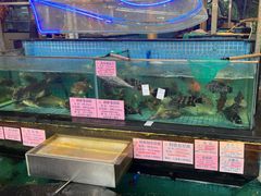 -荔城生鲜盛宴(番禺旗舰店)