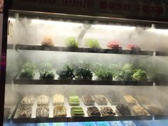 涮菜自选-洪湘记川湘·甲鱼馆(四海凯悦美食广场店)