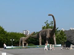 -安徽省地质博物馆