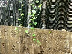 -吴财记面家(大同路店)