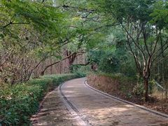 -同里国家湿地公园