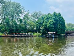 -溱湖国家湿地公园