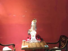 -猫色咖啡·猫咖