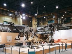 -国家自然博物馆