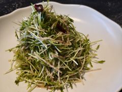 巧伴有机萝卜苗-紫泥369粗粮季(鼓楼店)