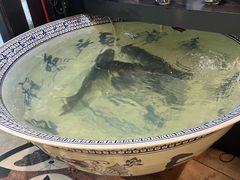 -南京金牛湖巨碗鱼头