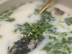 -紫藤园·天目湖大鱼头(南山竹海店)