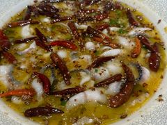 经典黑鱼酸菜鱼-新太二·鲜料川菜(晶耀前滩店)