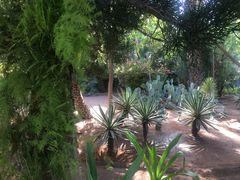 -马洛雷勒花园