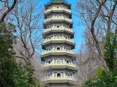 -灵谷景区