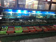 -望海潮海鲜店 特色家常菜(在海一方店)