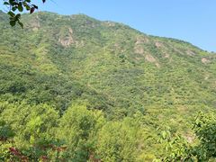 -云岫谷游猎自然风景区