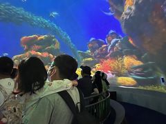 -烟台海昌鲸鲨海洋公园