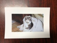 -彩色年华快印(增光佳苑东南)