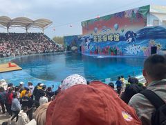 -北戴河圣蓝海洋公园