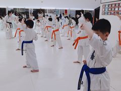 -极真空手道修远道场