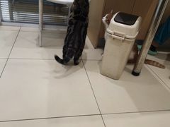 -美迦爱-牙专科·兔科·骨科诊疗中心(北苑店)