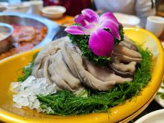 -一斗火锅·招财羊毛肚(北温泉九号店)