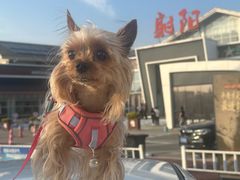 -射阳服务区餐厅