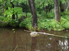 -玉渡山自然风景区