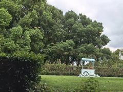 -潮府馆·非遗潮州菜·世纪公园(新国际博览中心店)