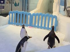 -郑州银基冰雪世界