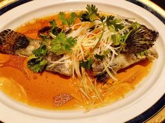 -新天世纪中餐厅