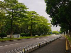 -广东中医药博物馆