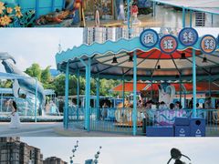 -海合安武汉极地海洋公园