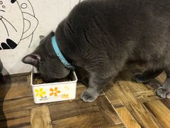 -小时光咖啡馆(开森度假森林店)