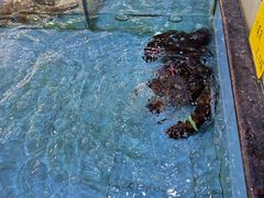 -金迎海鲜酒家(金凤凰广场店)