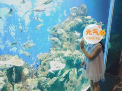 -锦艺城海洋馆