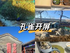 -有喜胶东小馆(太申祥和店)