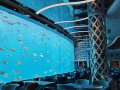 -瑞德姆美人鱼海底演艺主题餐厅(亚龙湾店)