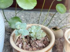 -川匠·睡眠采耳·SPA(九眼桥店)