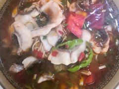 -尧钧财鱼面(育才路店)