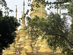 -西双版纳勐泐文化旅游区