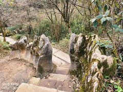 -山王坪喀斯特国家生态公园