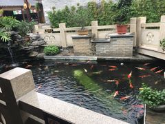 -顺德了能馆(虎门店)