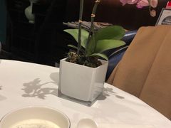 -Yan Ting 宴庭中餐厅(上海静安瑞吉酒店)