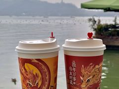 -西湖游船