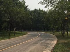 -松山湖南湖湾露营营地