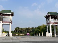 -王借岗森林公园