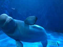 -多彩贵州城极地海洋世界