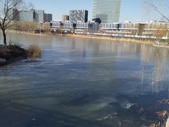 -大兴滨河森林公园