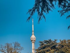 -龟山风景区-龟山电视塔