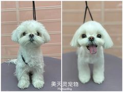 -FAELING PETS美天灵宠物(合生汇店)